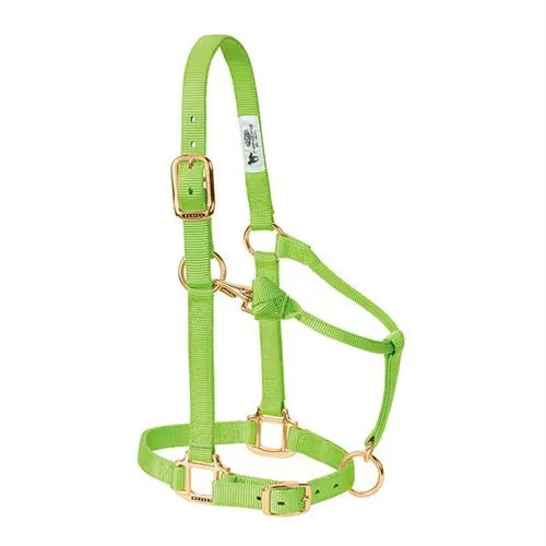 Adjustable Halters ~ Suckling