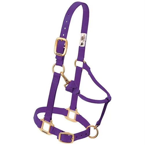 Adjustable Halters ~ Suckling