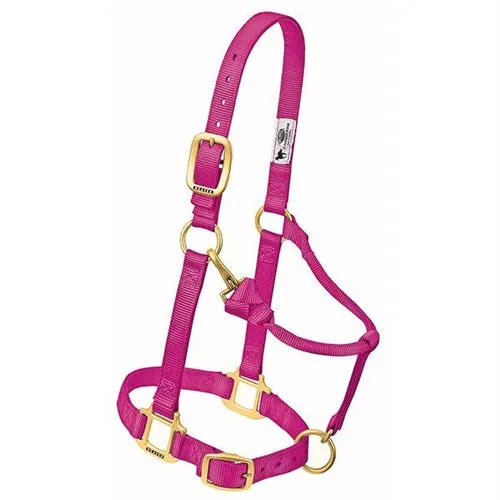 Adjustable Halters ~ Suckling