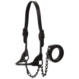 Black Magic Show Halter