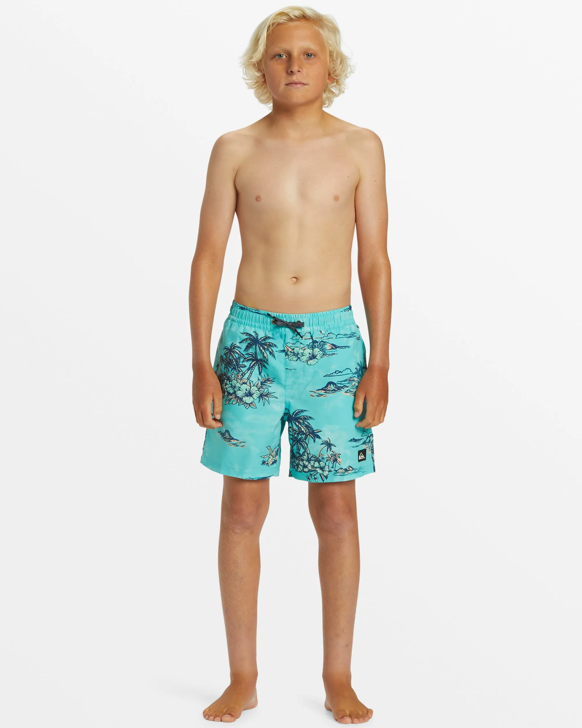 Boys 8-16 Everyday Mix Volley 14" Elastic Waist Shorts