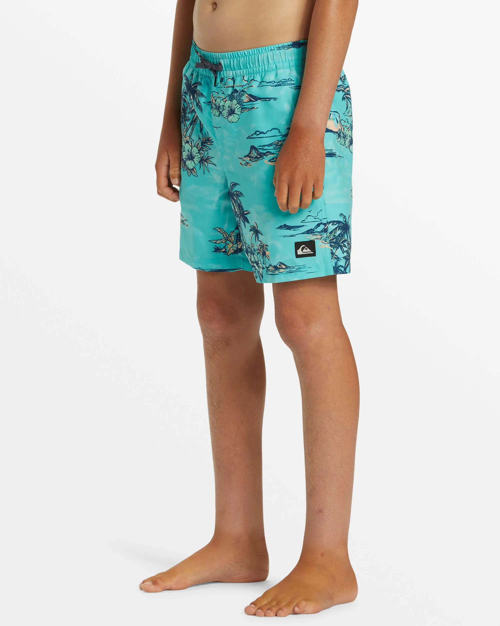 Boys 8-16 Everyday Mix Volley 14" Elastic Waist Shorts