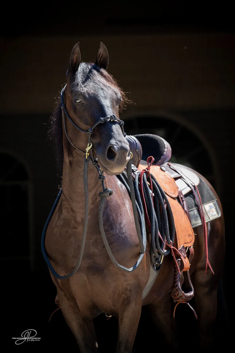 Buy 1 Get 1 FREE Halter Set Grab Bags!!