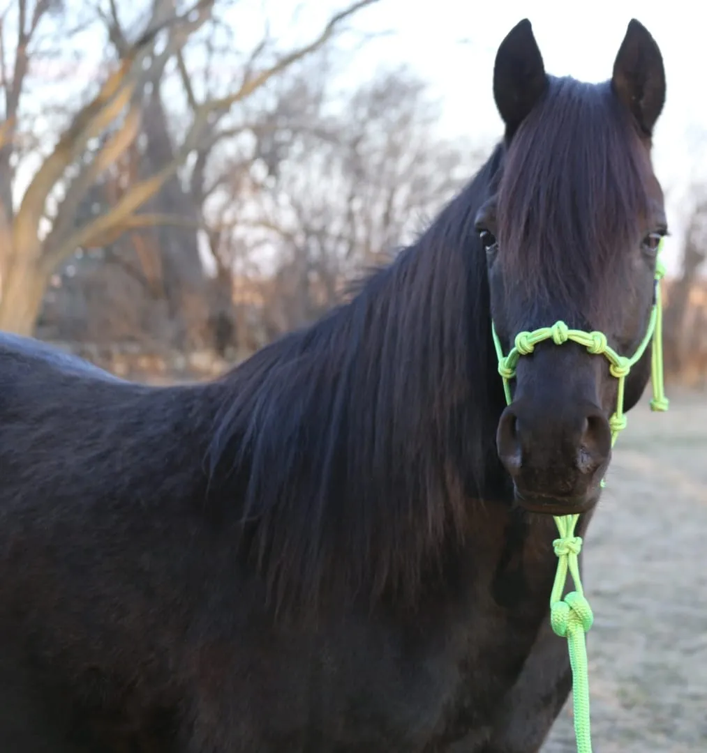 Buy 1 Get 1 FREE Halter Set Grab Bags!!