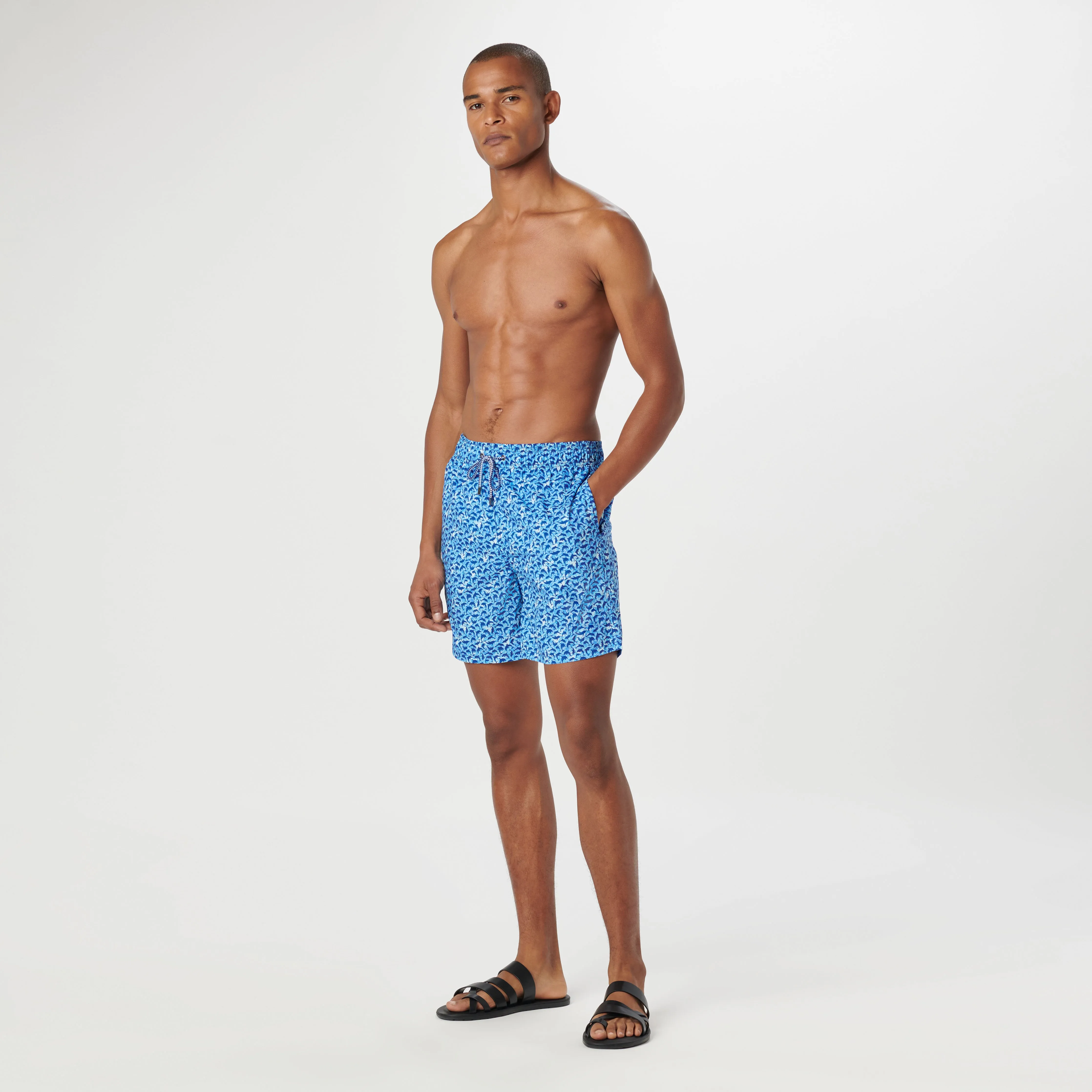 Cosmo Dolphin Swim Trunks