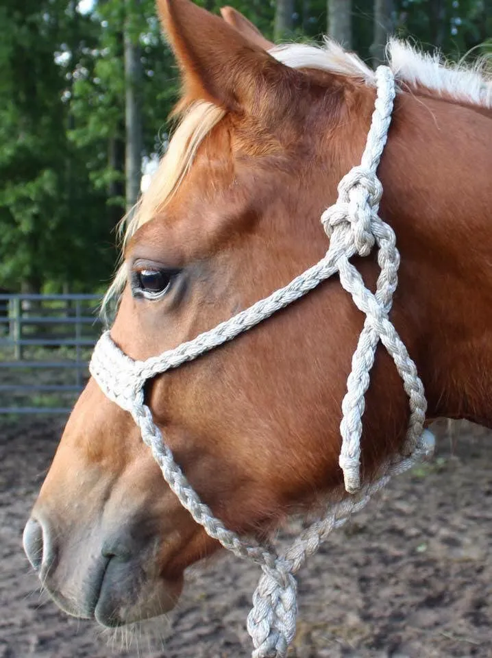 Mule Tape Halters