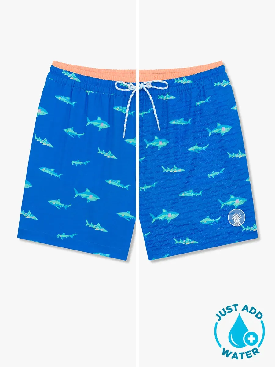 The Secret Tides (Boys Magic Swim Trunk)