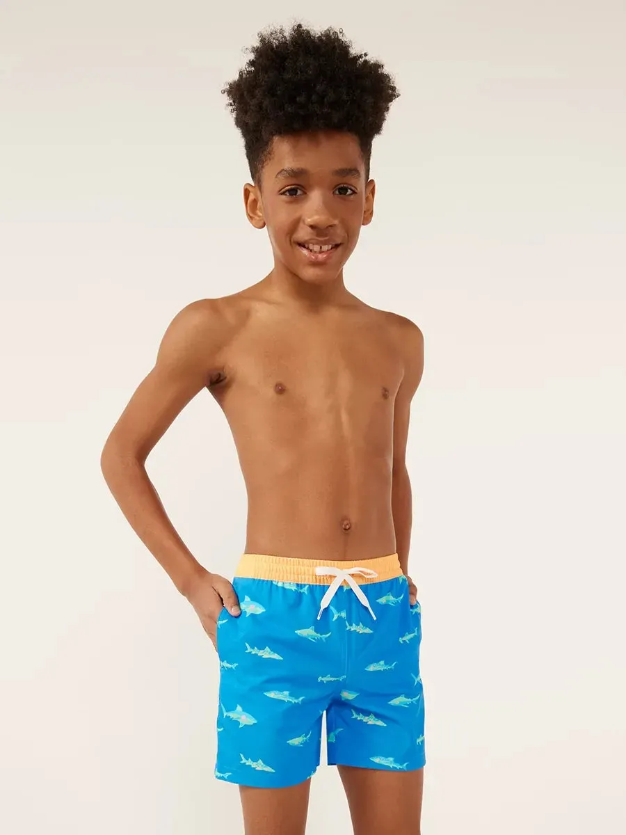 The Secret Tides (Boys Magic Swim Trunk)